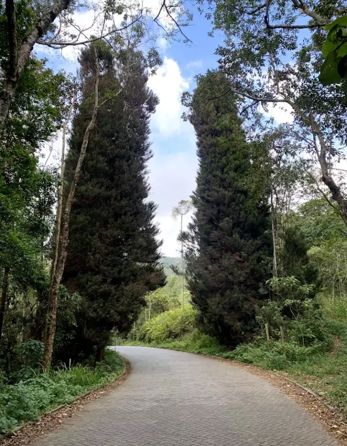 Região de Pedra Azul e o Quadrado São Paulino