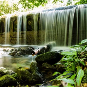 Reserva Biológica de Duas Bocas