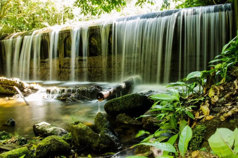 Reserva Biológica de Duas Bocas