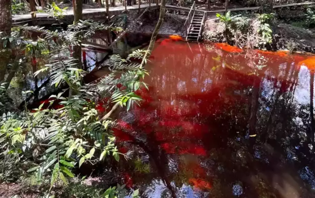 Rio Vermelho