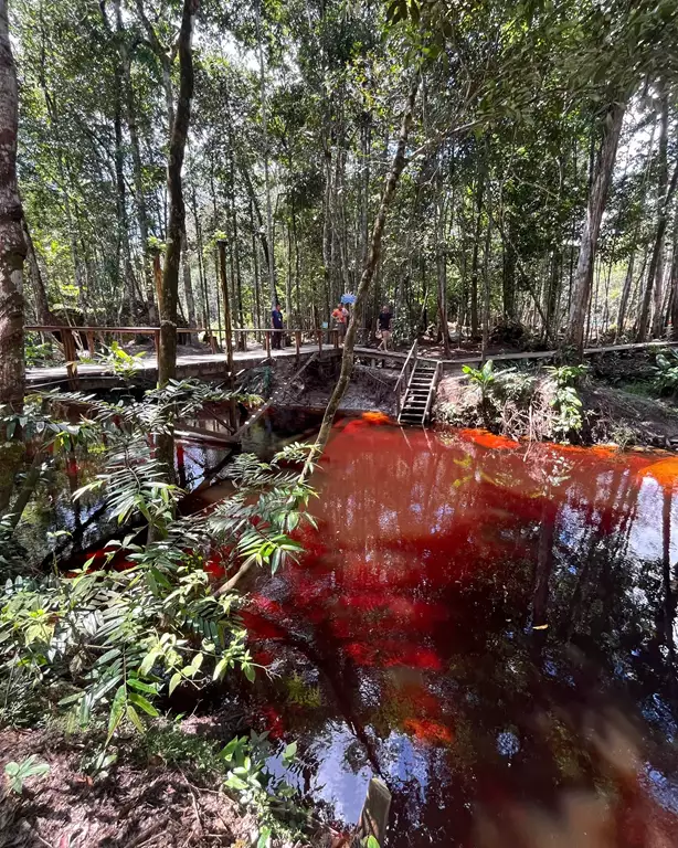 Rio Vermelho