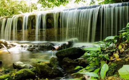 Um santuário secreto em Cariacica: Descubra a Reserva Biológica de Duas Bocas 15 Vista da represa antiga cercada por floresta na Reserva Biológica de Duas Bocas, em Cariacica.