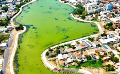 Lagoa do Meio: Um Refúgio Natural em Marataízes 7 Lagoa do Meio em Marataízes ES