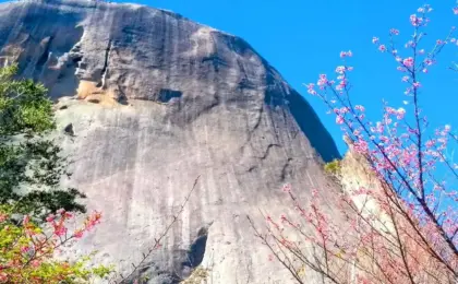 Rota do Lagarto em Pedra Azul: O roteiro perfeito para o fim de semana 14 Vista panorâmica da Pedra Azul e da estrada turística Rota do Lagarto cercada por hortênsias em Domingos Martins.