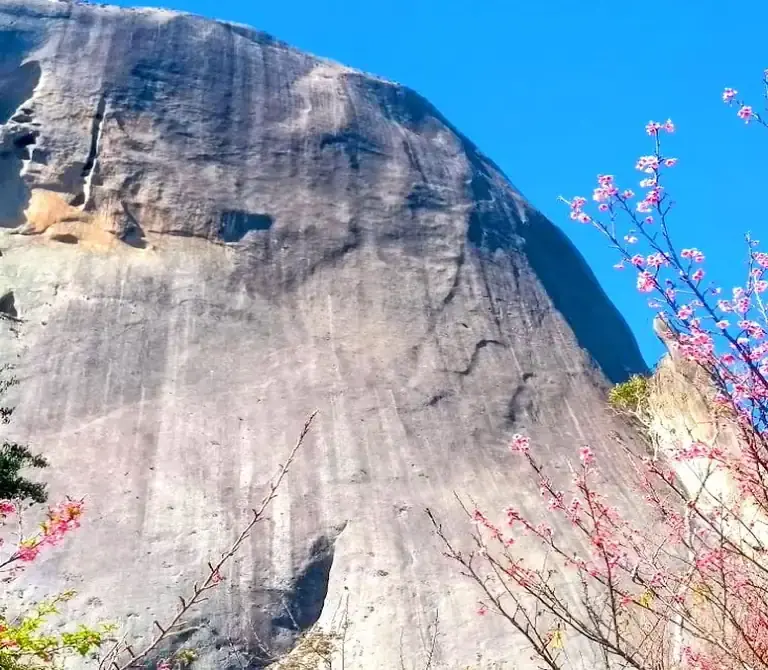 Vista panorâmica da Pedra Azul e da estrada turística Rota do Lagarto cercada por hortênsias em Domingos Martins.