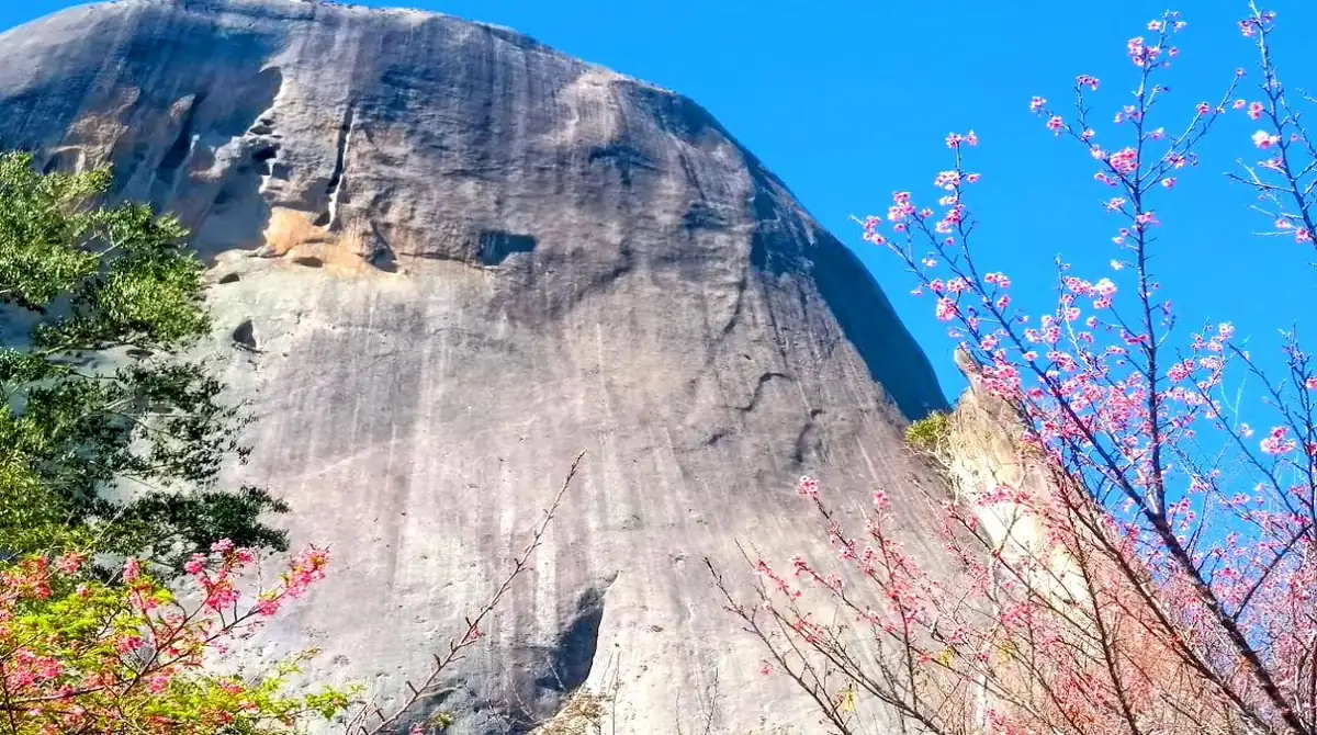 Rota do Lagarto em Pedra Azul: O roteiro perfeito para o fim de semana 9 Vista panorâmica da Pedra Azul e da estrada turística Rota do Lagarto cercada por hortênsias em Domingos Martins.