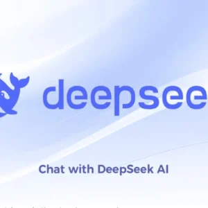 DeepSeek