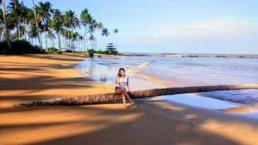 Coqueiral Tranquilidade e Beleza Natural em Aracruz
