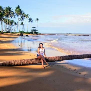 Coqueiral Tranquilidade e Beleza Natural em Aracruz