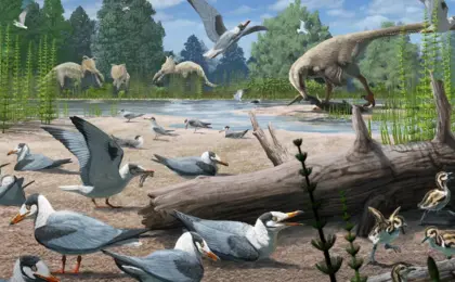Fósseis revelam que pássaros nidificavam no Ártico na era dos dinossauros