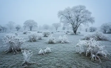 Frio extremo no Sul do Brasil com geada e temperaturas negativas