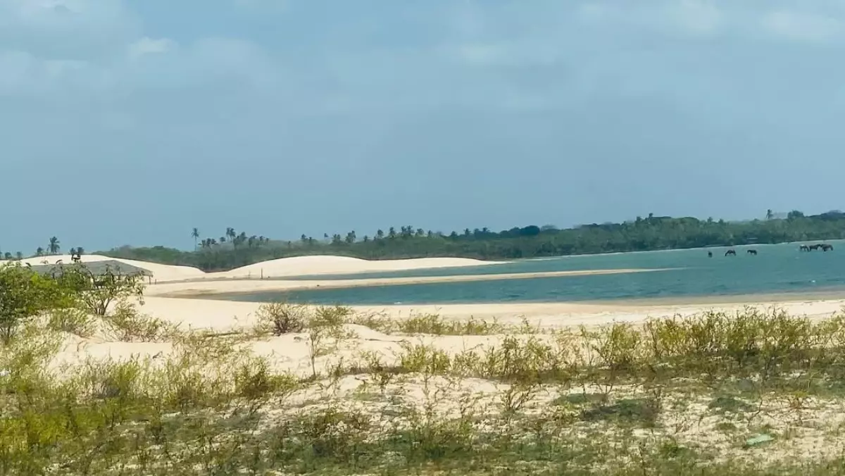 Lagoa da Torta em Tatajuba Camocim com redes na água dunas e lagoa azul