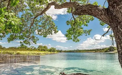 Lagoa do Videl