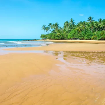 Península de Maraú Foto: depositphotos