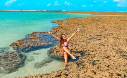 O Que Fazer em Porto de Galinhas: Melhores Passeios, Praias e Dicas Atualizadas 21 Porto de Galinhas