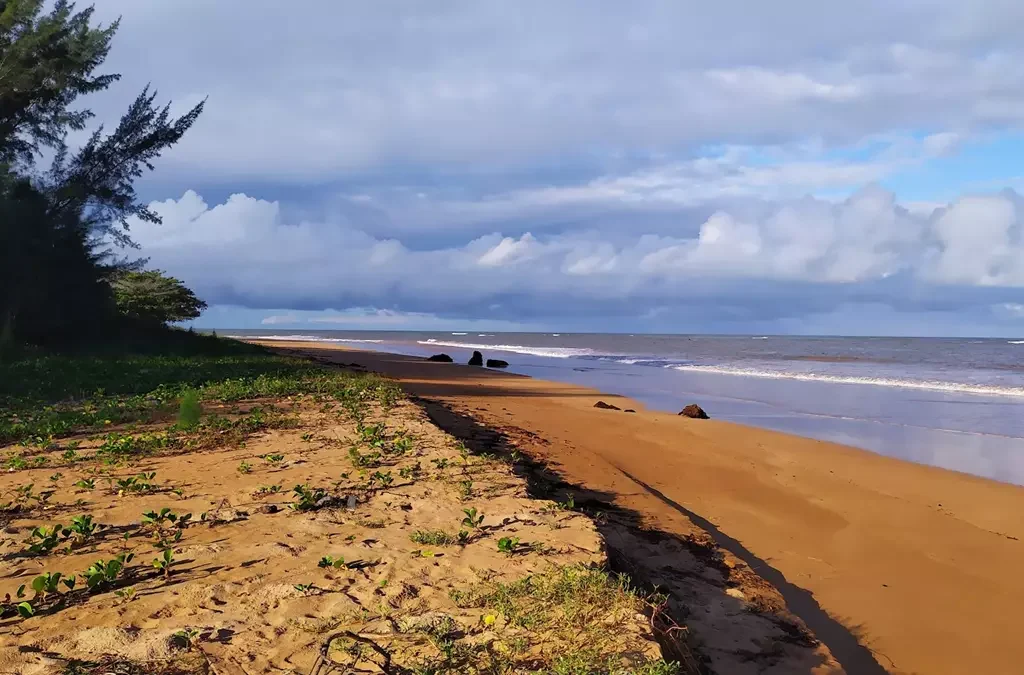 Praia Formosa