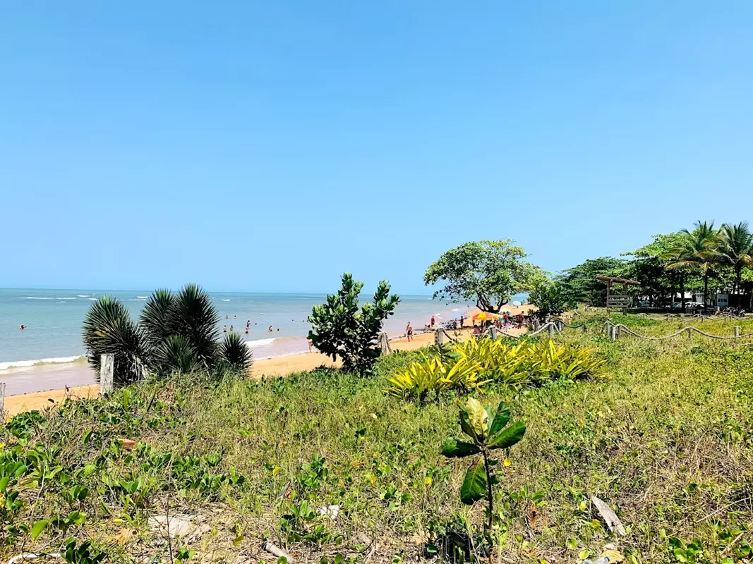 Vista aérea da Praia de Mar Azul em Aracruz