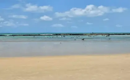 Praia do Forte de Natal