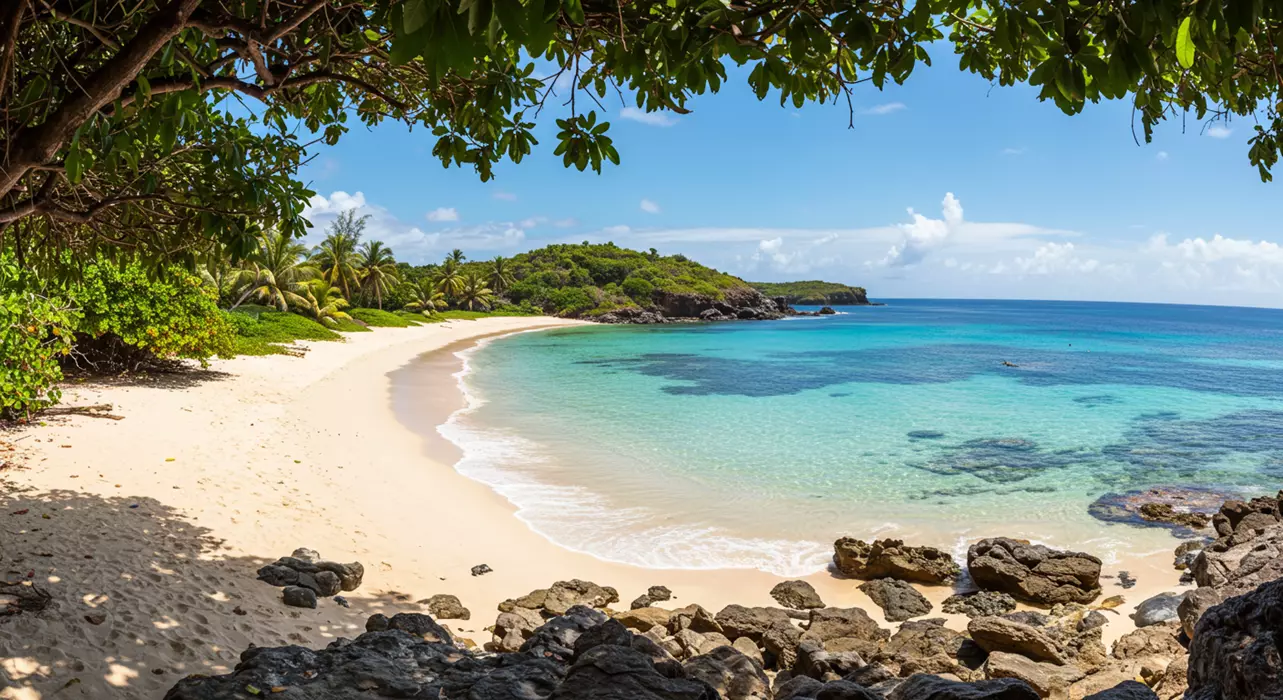 Praia do Sancho, em Fernando de Noronha
 praias do Nordeste brasileiro