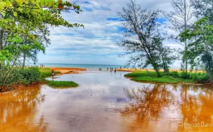 Roteiro Imperdível: 6 Praias em Santa Cruz para Curtir Natureza e Sossego 11 Praias em Santa Cruz