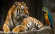 Zoo Park da Montanha