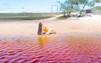 Turista boiando de costas sem esforço na água de tom rosado da Lagoa Vermelha, em Arraial do Cabo.