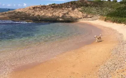 7 Motivos Para Visitar as Ilhas Galheta em Vitória Ainda Este Verão 13 Ilhas Galheta