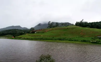 Alto da Bananeira
