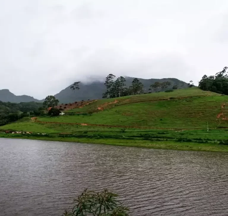 Alto da Bananeira