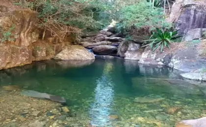 Cachoeira das Andorinhas Alto Jequitibá‑MG