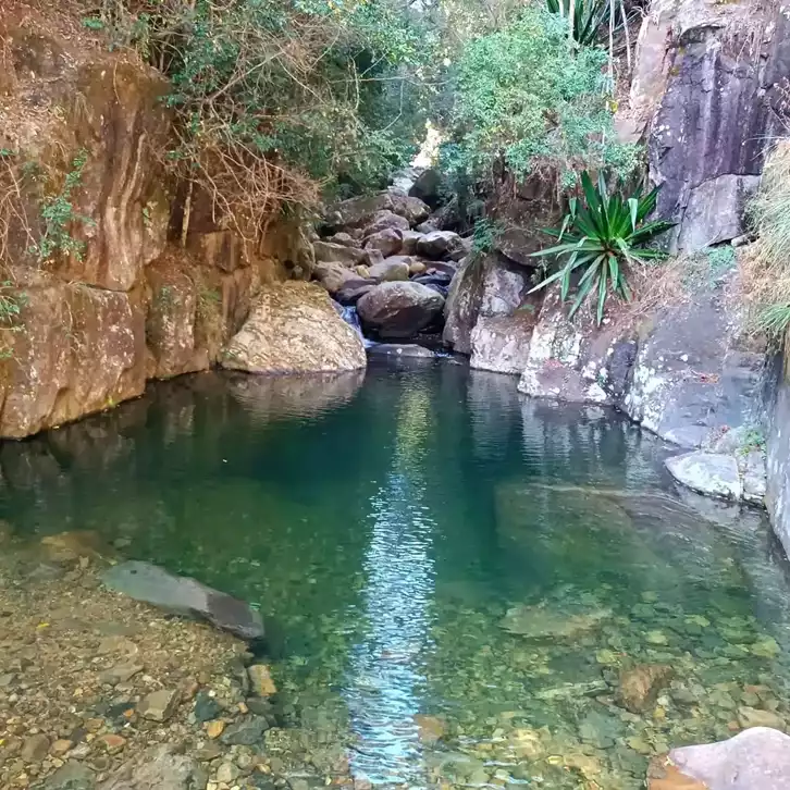 Cachoeira das Andorinhas Alto Jequitibá‑MG