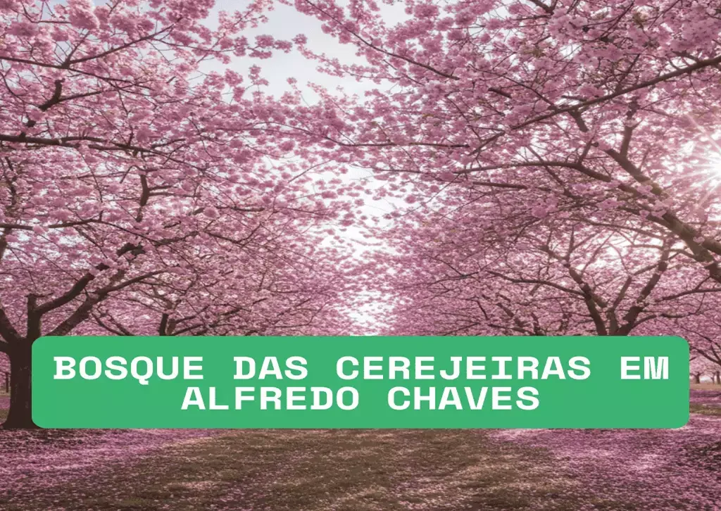Cerejeiras em Alfredo Chaves o encanto do inverno capixaba