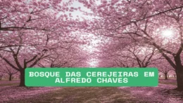 Cerejeiras em Alfredo Chaves o encanto do inverno capixaba