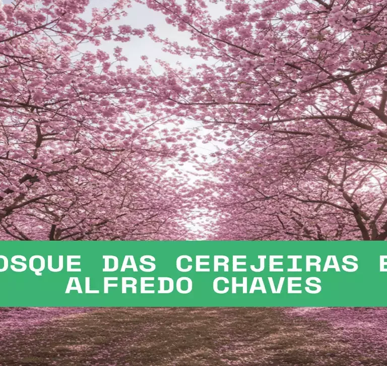 Cerejeiras em Alfredo Chaves o encanto do inverno capixaba