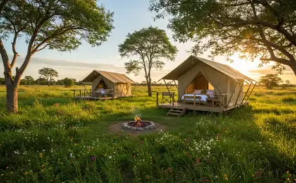7 opções de glamping no Brasil para aproveitar conforto e natureza 13 glamping no Brasil