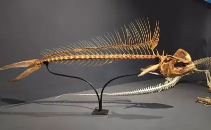 Museu de Ciências da Vida: imersão intensa em ciência, vida e interação 10 Museu de Ciências da Vida