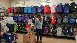 Onde Comprar Agasalho para seu Pet