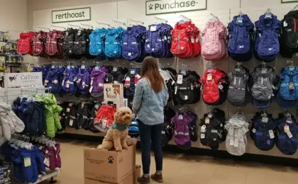 Onde Comprar Agasalho para seu Pet? Guia Prático para Escolher o Melhor 7 Onde Comprar Agasalho para seu Pet