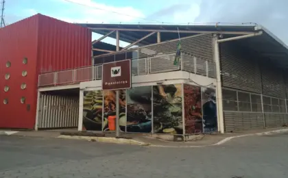 Artesãs das Paneleiras de Goiabeiras modelando panelas de barro manualmente no Galpão em Vitória.