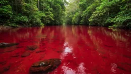 Rio Vermelho em Presidente Figueiredo