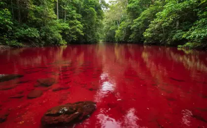 Rio Vermelho em Presidente Figueiredo