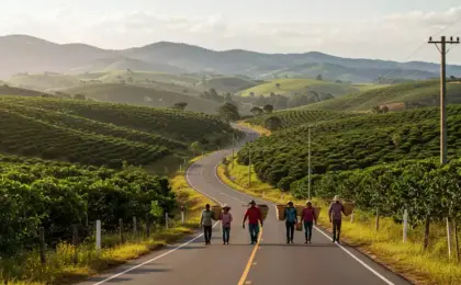 Rota do Café Conilon: viaje pelo sabor do Espírito Santo 8 Rota do Café Conilon viaje pelo sabor do Espírito Santo