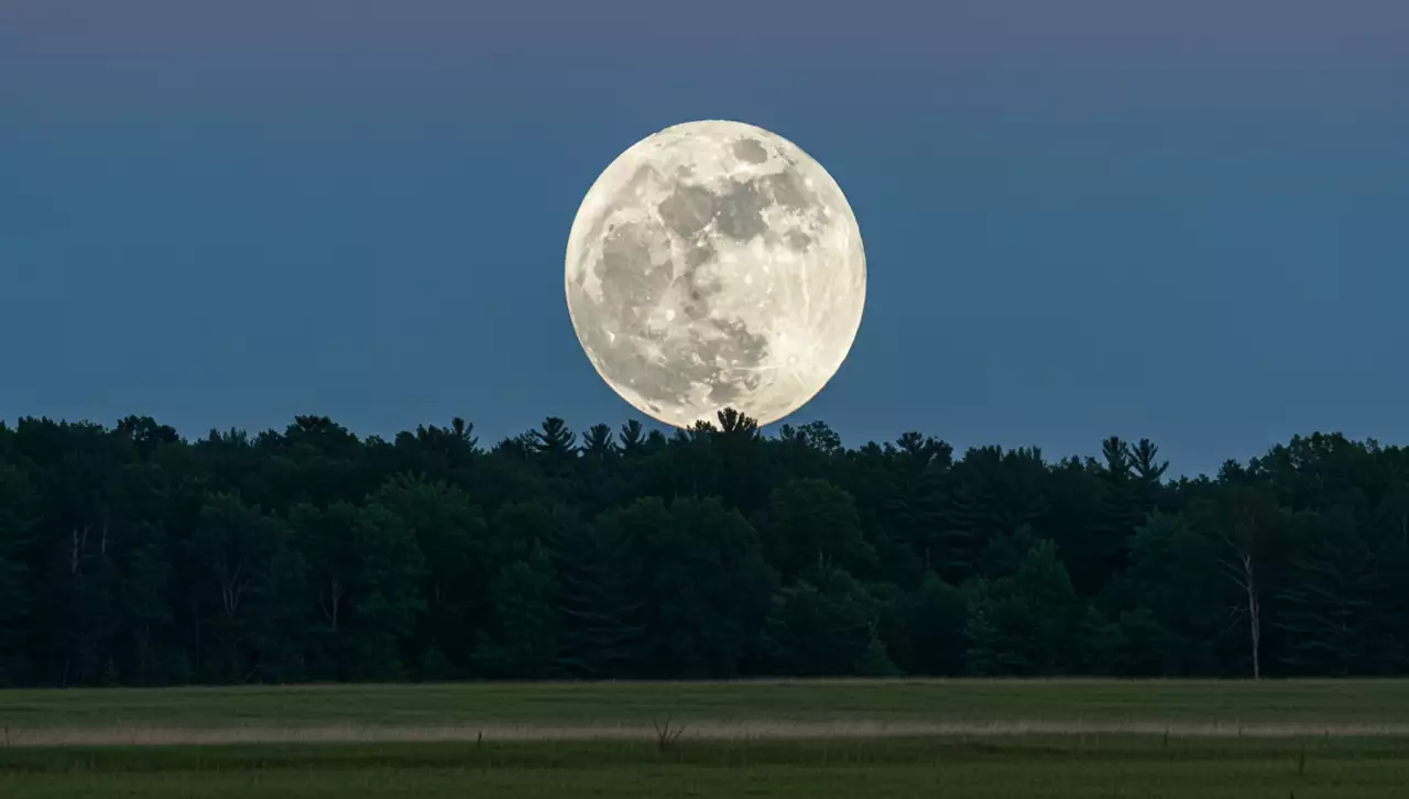 Lua do Veado