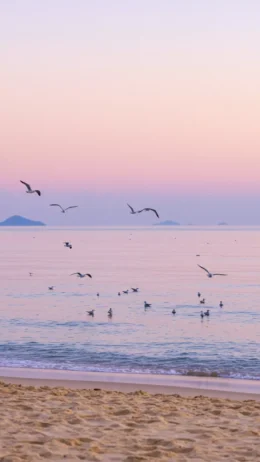 Praia dos Sonhos, Itanhaém-SP