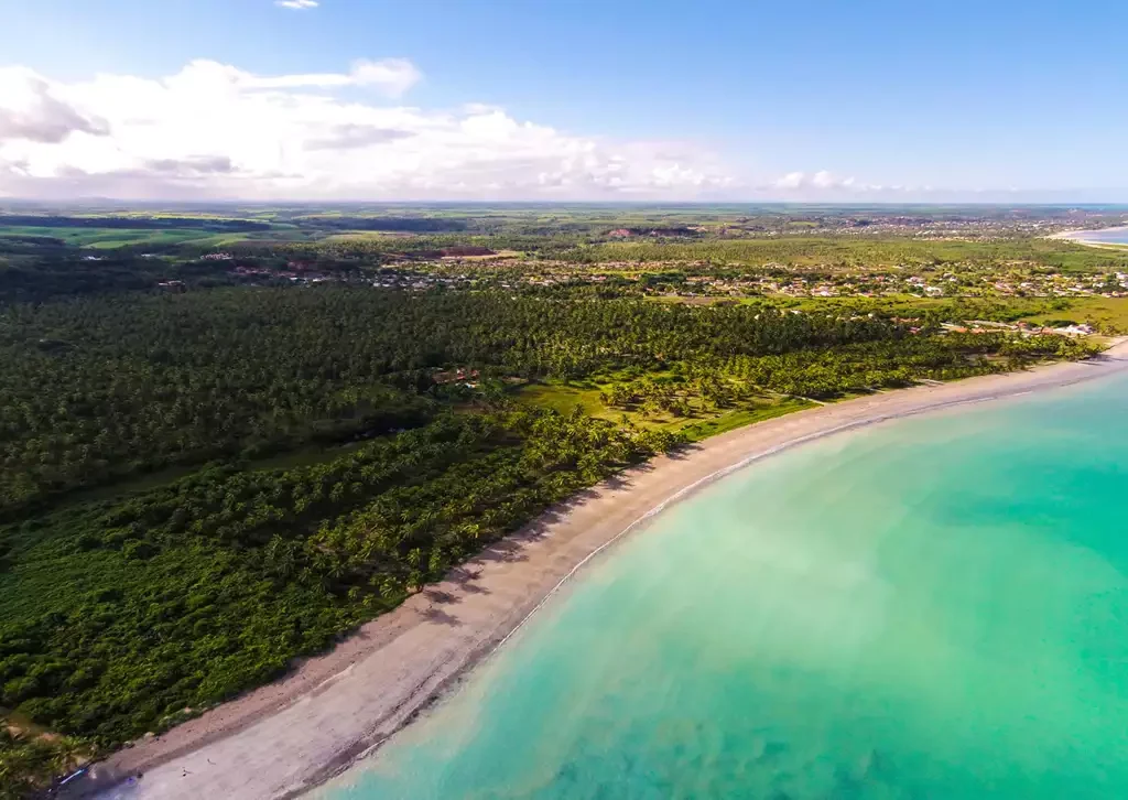 Ipioca em Alagoas