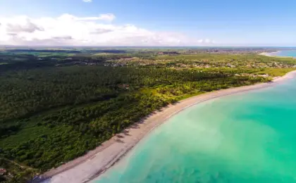 Ipioca em Alagoas