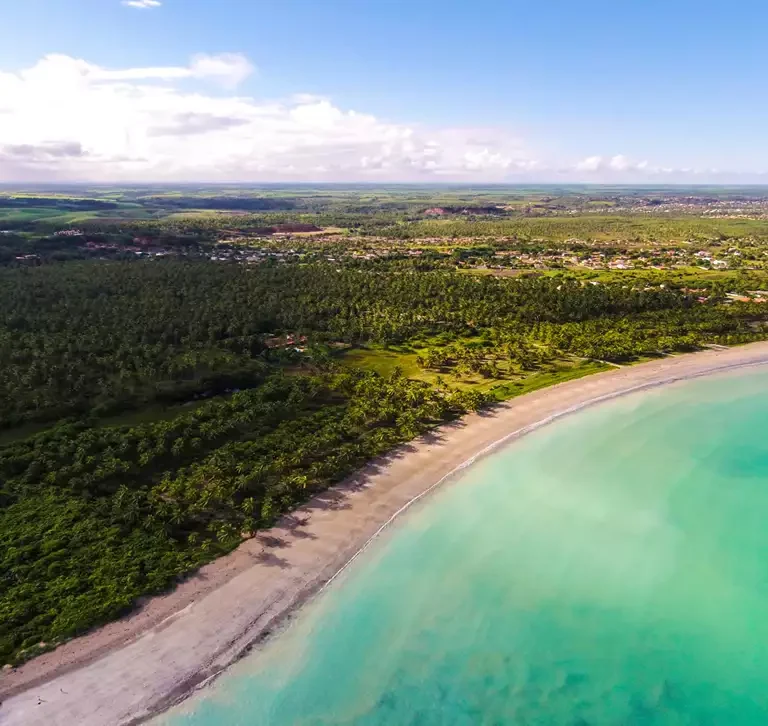 Ipioca em Alagoas