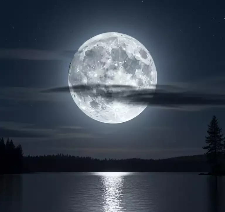 Calendário da Lua November 2025