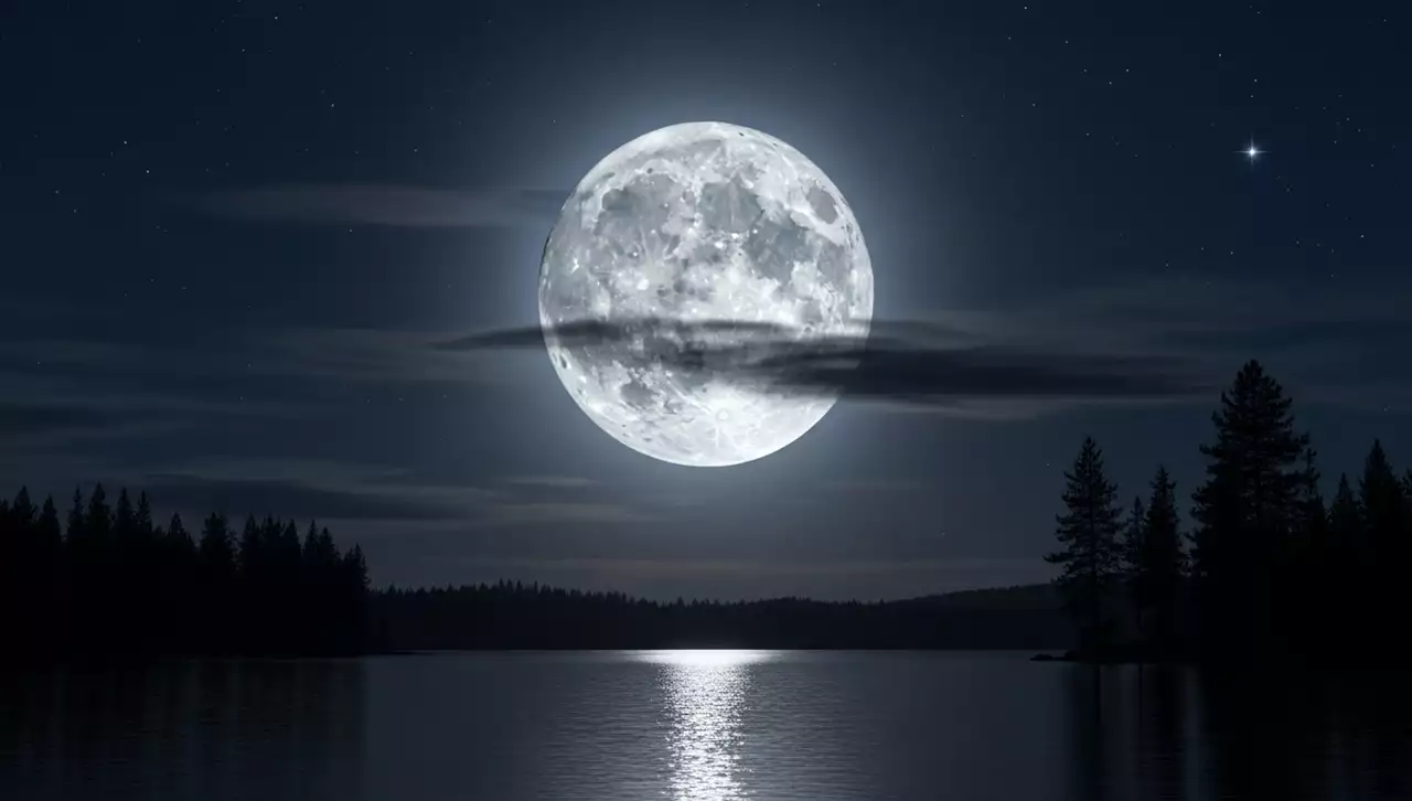 Calendário da Lua November 2025