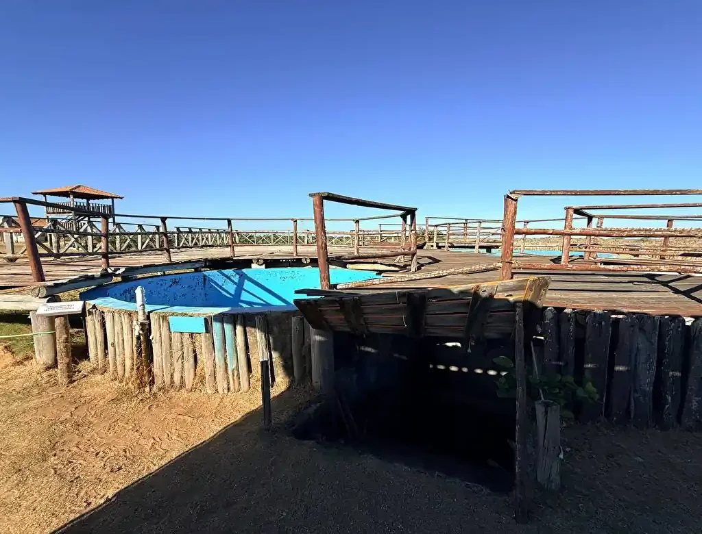 Abandono no Tamar de Regência: turistas denunciam estrutura em ruínas